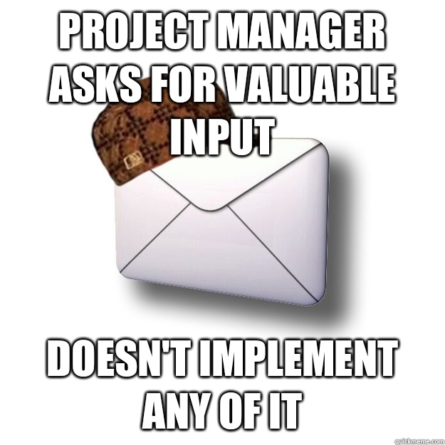 Project Manager asks for valuable input - does not implement any of it
