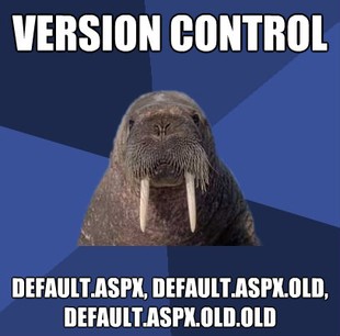 version control walrus