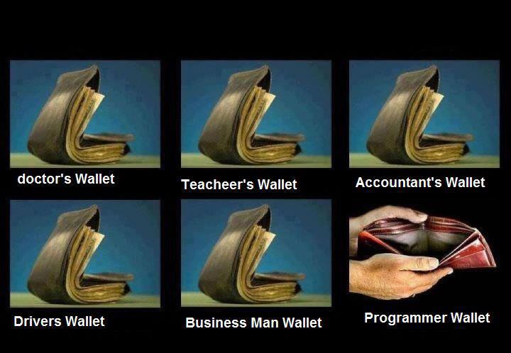 programmer's wallet